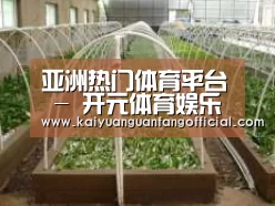 环境展示五