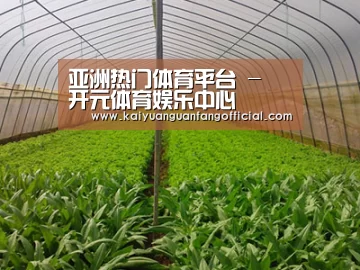 种植基地四