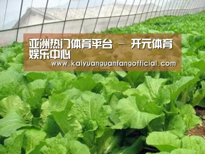 种植基地一