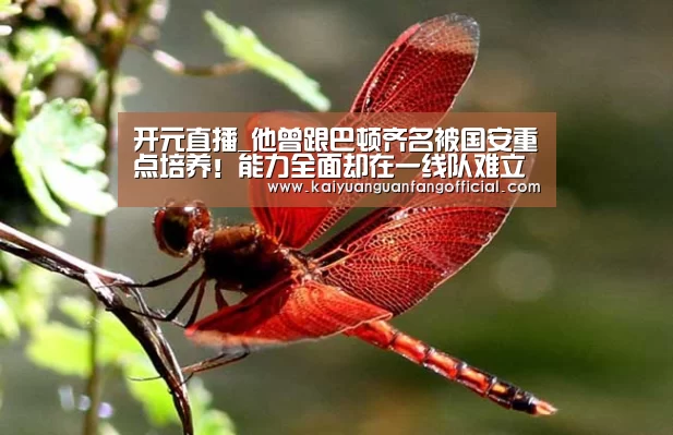 开元官网