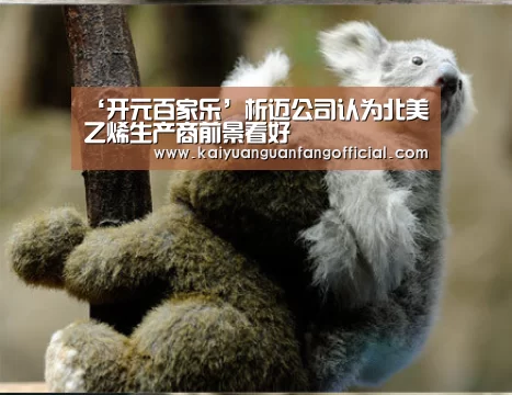 ‘开元百家乐’析迈公司认为北美乙烯生产商前景看好(图2) 开元官方