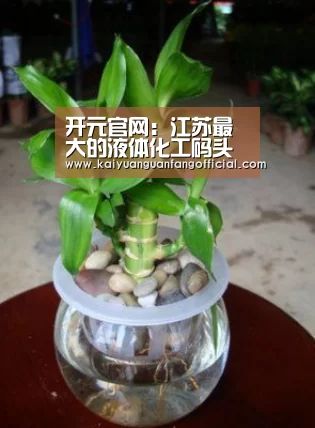 开元官网:江苏最大的液体化工码头在连云港开工(图1) 开元官方